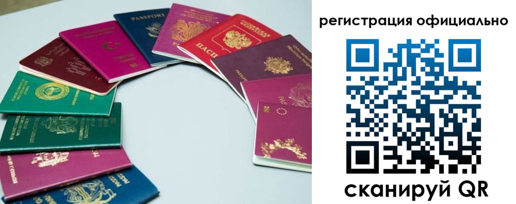 регистрация в Жердевке